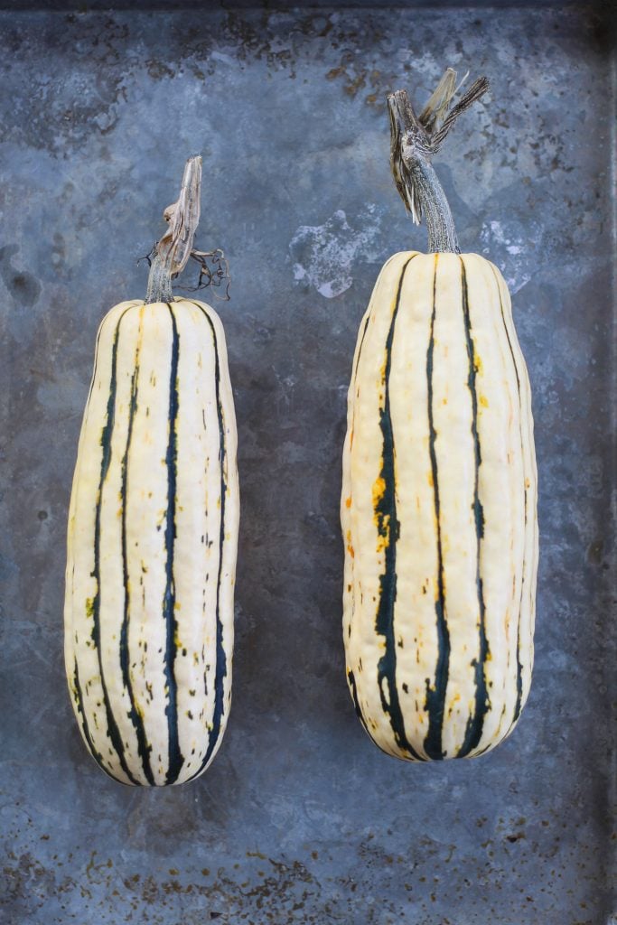 This Stuffed Delicata Squash Recipe uses chicken sausage, brown rice and white wine and is so flavorful