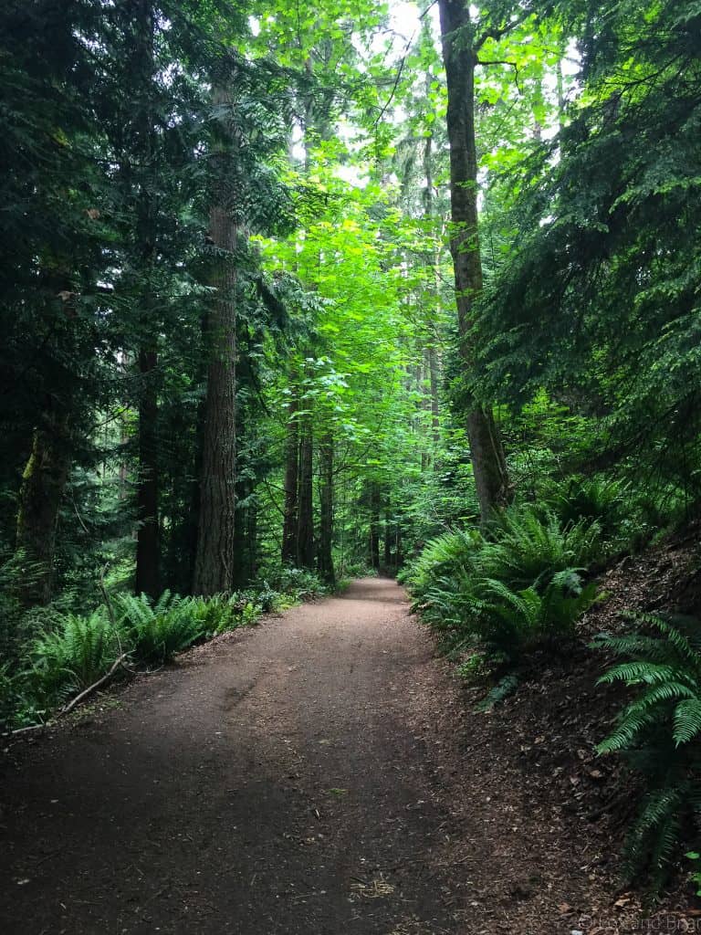 Here is a list of 5 great hikes near Seattle for absolute beginners. If you want to start hiking but are intimidated, start here. Also these are great for a quick afternoon walk because they are all in or very close to the city.