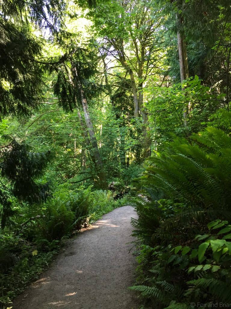 5 Hikes Near Seattle for Absolute Beginners - Fox and Briar