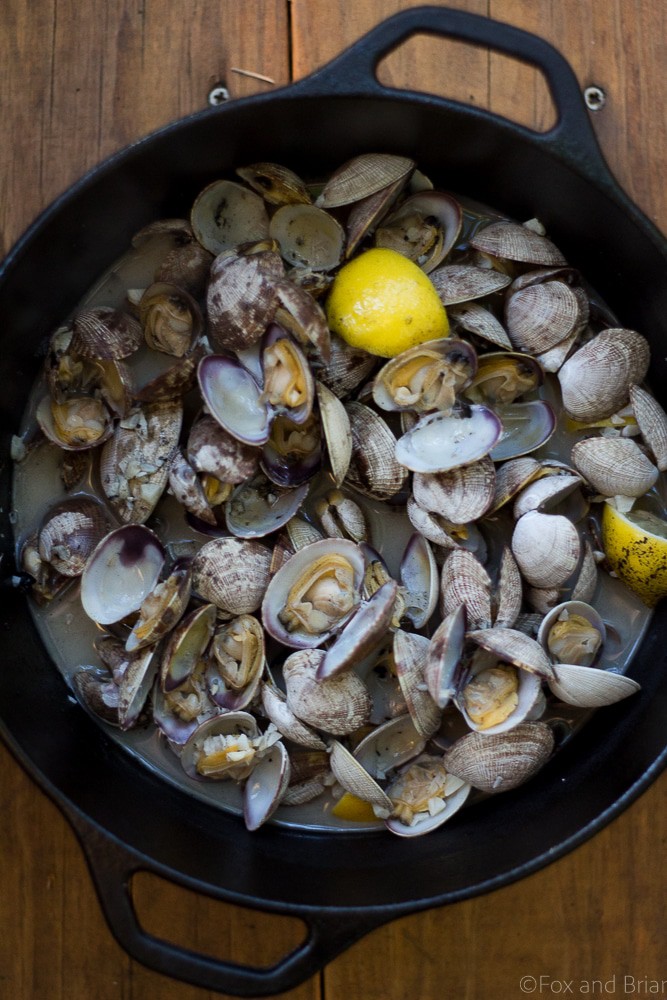 Learn how to make this simple recipe for Beer Steamed Clams - so easy you can even make them on the campfire! Includes instructions for cooking at home or on the campfire.