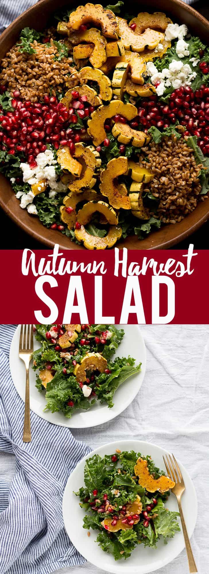 This Autumn Harvest Salad uses the beautiful produce available as the months start to get colder, such as delicata squash, kale, and pomegranates, as well as farro and goat cheese to make a hearty cold weather salad. Then it is all tossed together with a maple apple cider vinaigrette! #ad