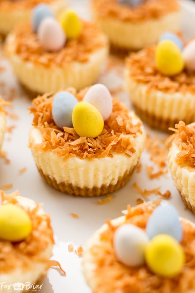Easter Bird's Nest Mini Cheesecakes - Fox and Briar