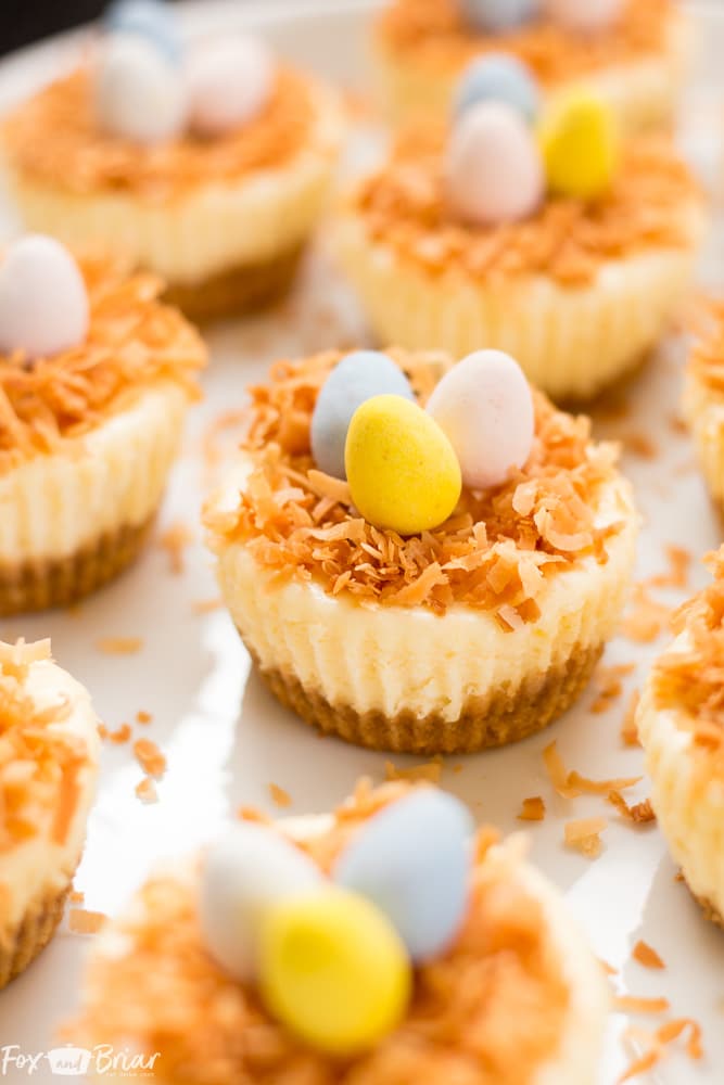 easter bird’s nest mini cheesecakes