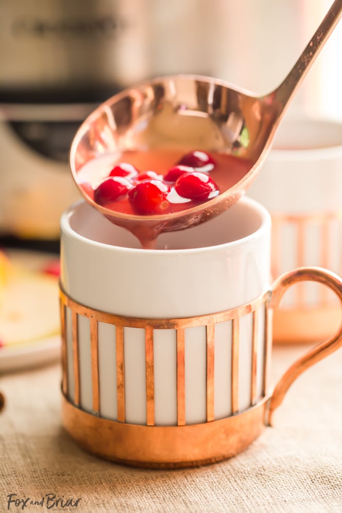 This Crock Pot Cranberry Pear Cider is made from scratch in your slow cooker! A festive, warm fall and winter beverage, perfect for Thanksgiving or Christmas! |crock pot recipe | Slow Cooker Recipe | Cider in the crockpot | slow cooker cider recipe | fall drink | warm drinks | non-alcoholic drink for christmas | thanksgiving drink