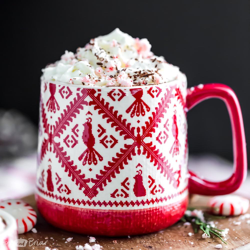 Slow Cooker Peppermint Hot Chocolate