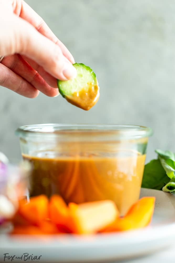 Best Ever Thai Peanut Sauce Recipe | Recipe Cart