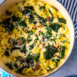 Five Ingredient Creamy Sausage and Tortellini Soup - Fox and Briar