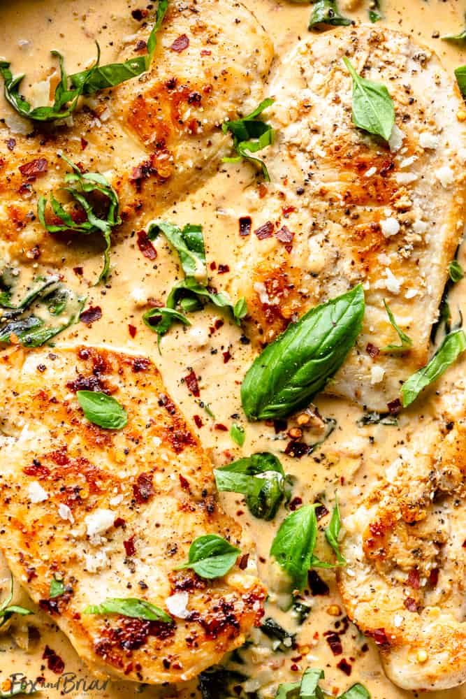 Macro closeup of chicken breasts with sauce and basil leaves