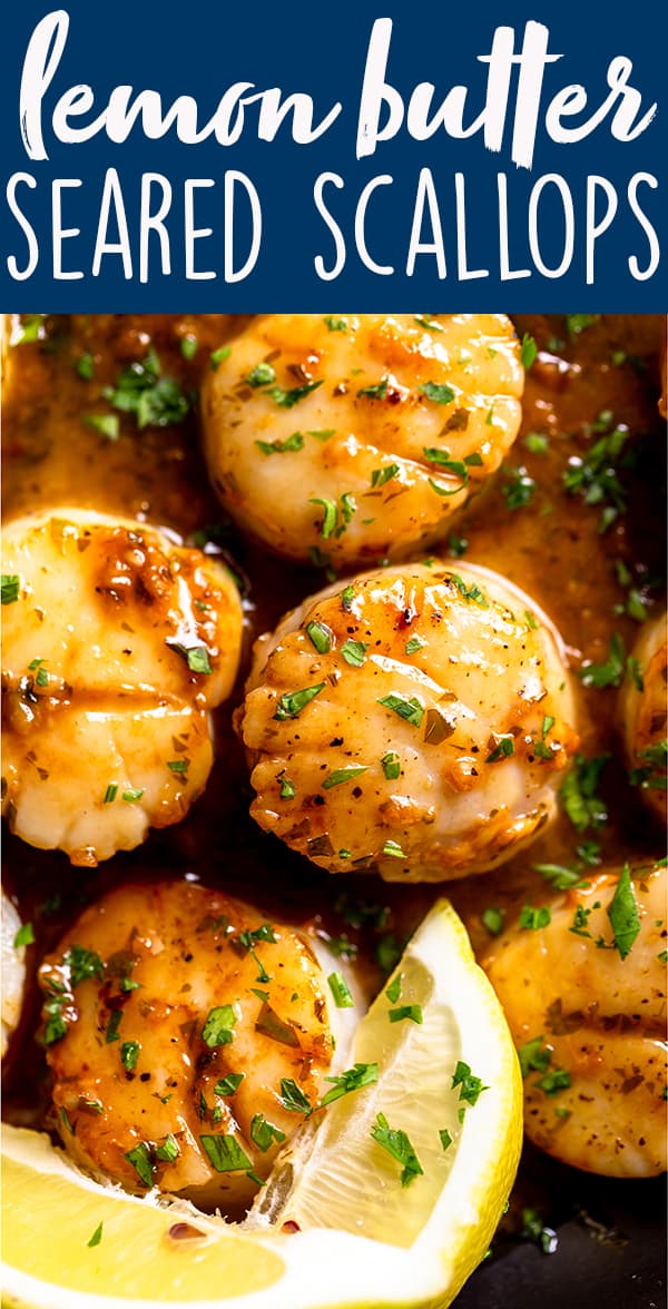 Lemon Butter Scallops Recipe Fox And Briar