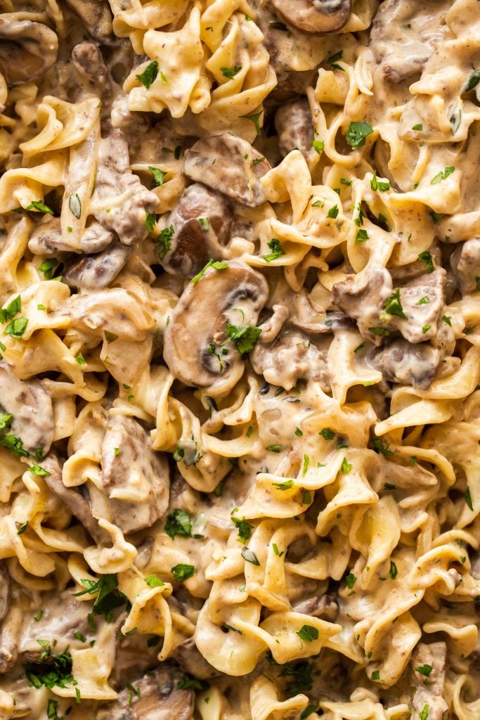 Close up of beef stroganoff with mushrooms and egg noodles. 