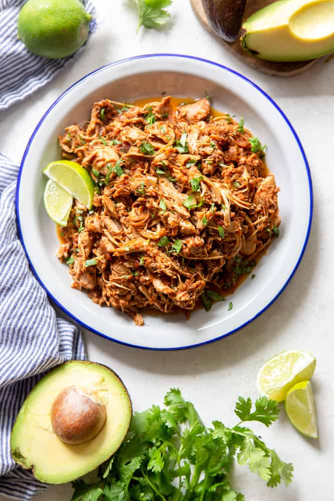 Instant Pot Salsa Chicken Fox and Briar