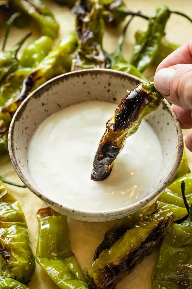 Shishito pepper dipping into lemon garlic yogurt sauce