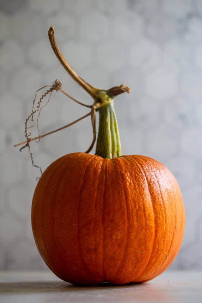 A small pumpkin